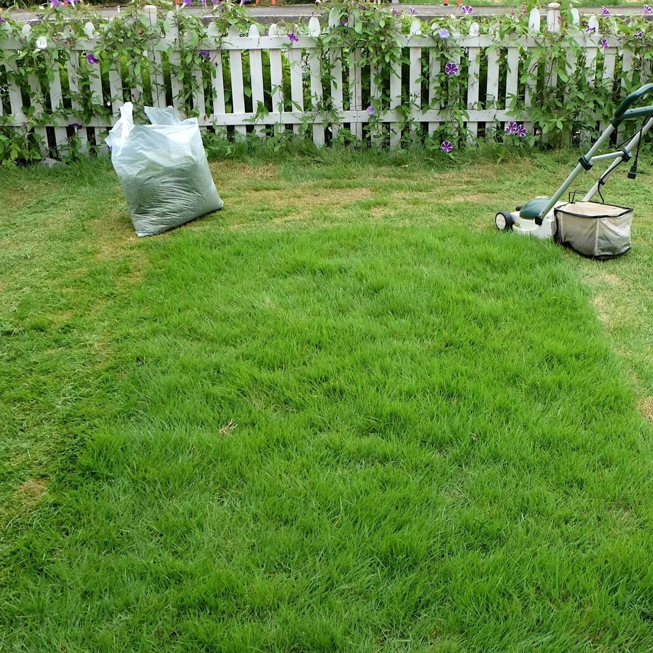 芝生の手入れ 東海市 | 東海市で芝生の手入れならお庭の窓口東海市