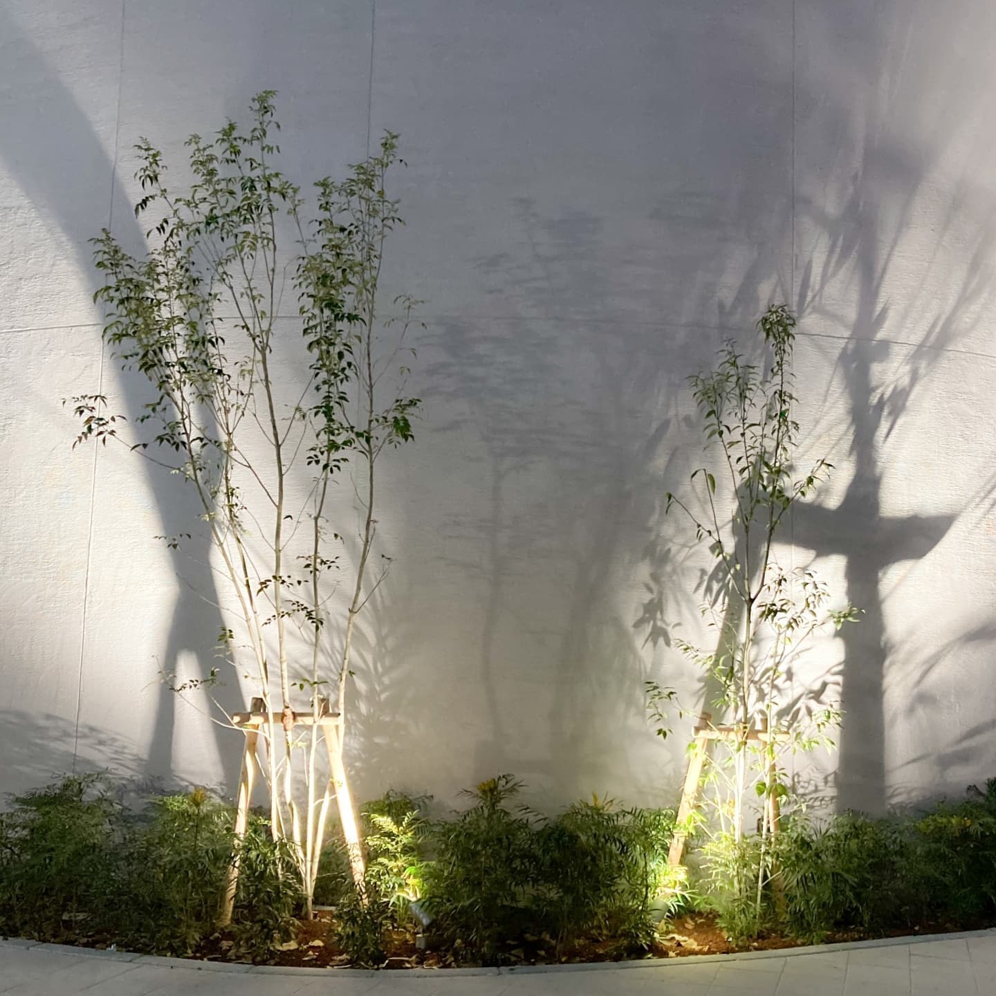 庭木の植栽 東海市 | 東海市で庭木の植栽ならお庭の窓口東海市