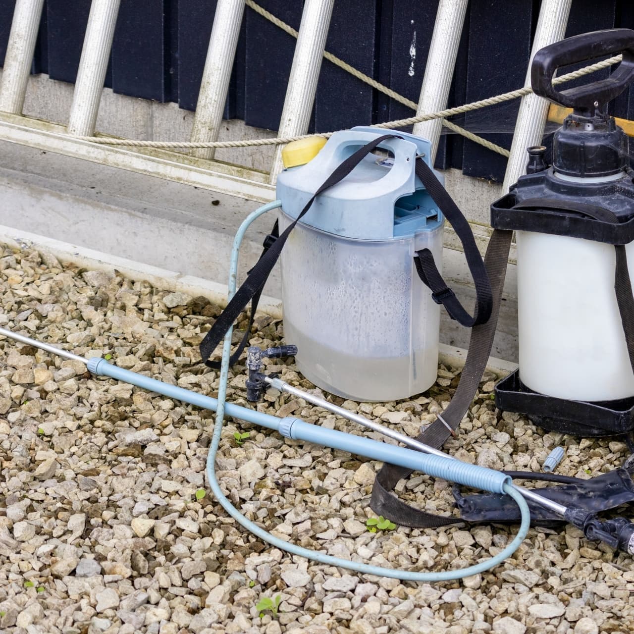 庭木の消毒・害虫対策 東海市 | 東海市で庭木の消毒・害虫対策ならお庭の窓口東海市